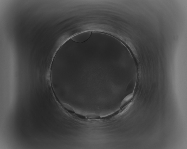 X0000100751529200806261533