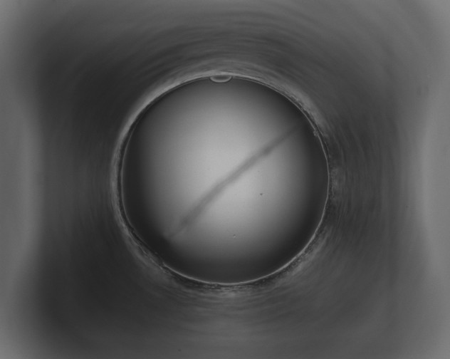 X0000100751530200806261533