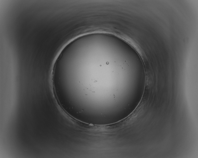 X0000100751532200806261533