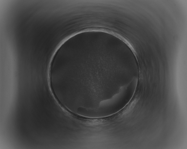 X0000100751533200806261533