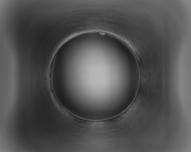 X0000100751534200806261533