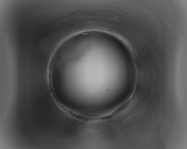 X0000100751535200806261533