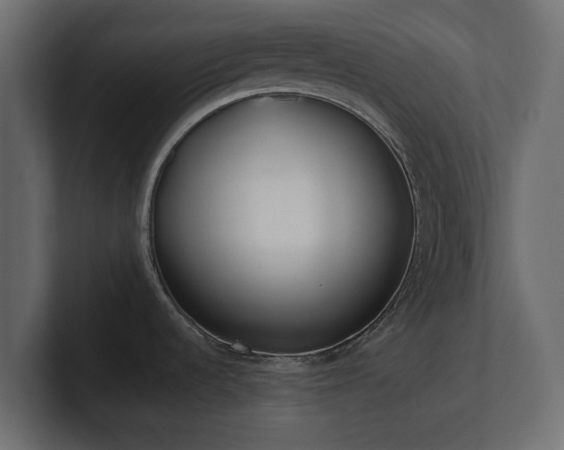 X0000100751536200806261533