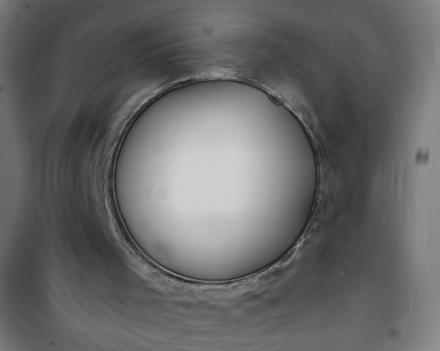 X0000100750001200807031347