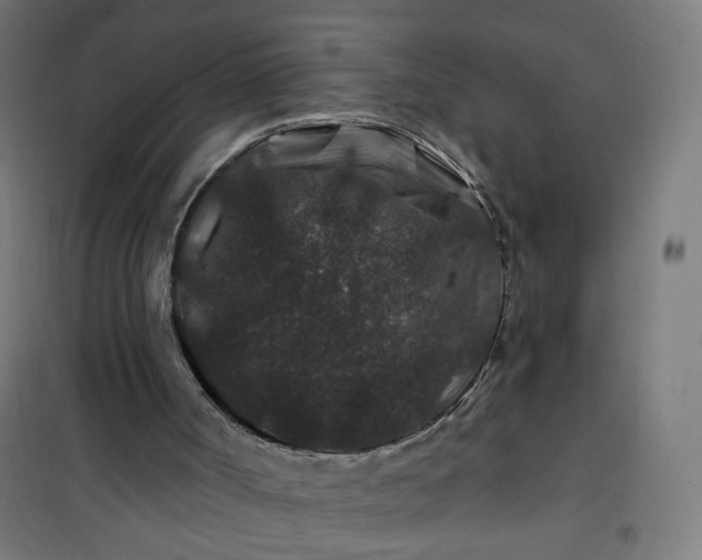 X0000100750002200807031347