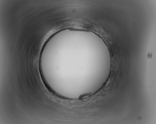 X0000100750003200807031347