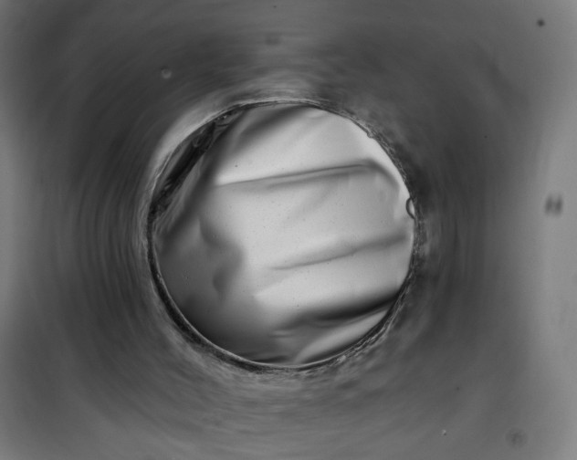 X0000100750004200807031347