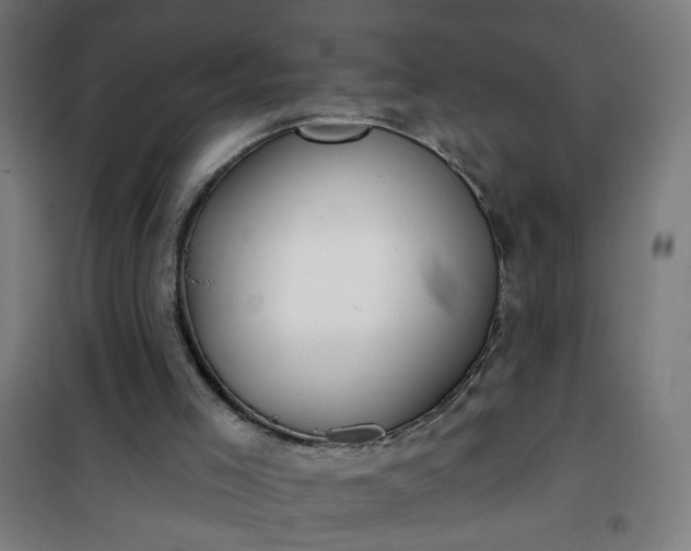 X0000100750005200807031347