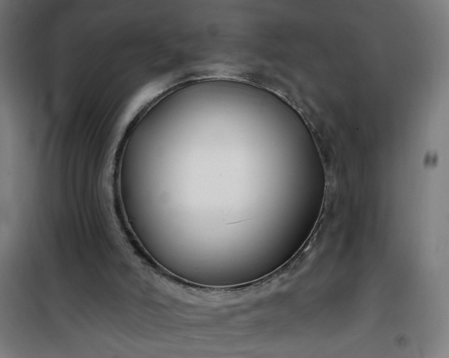 X0000100750006200807031347