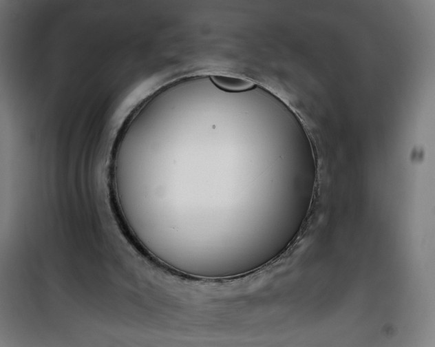 X0000100750007200807031347