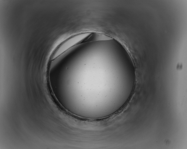 X0000100750008200807031347