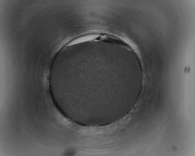 X0000100750009200807031347