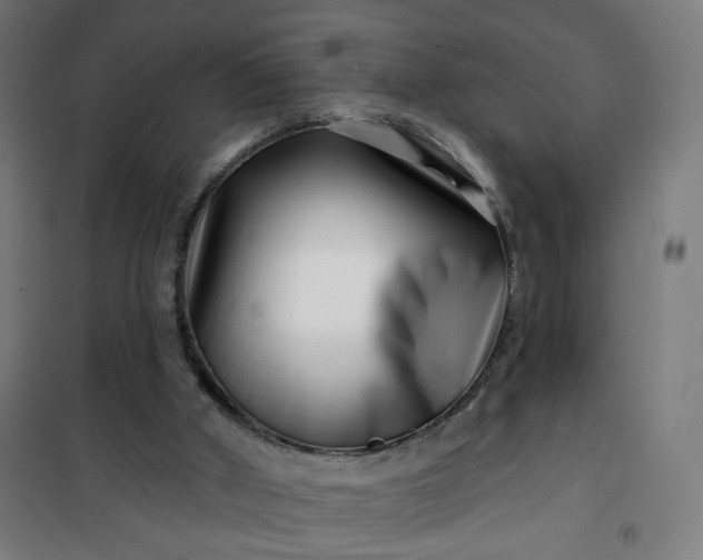 X0000100750010200807031347