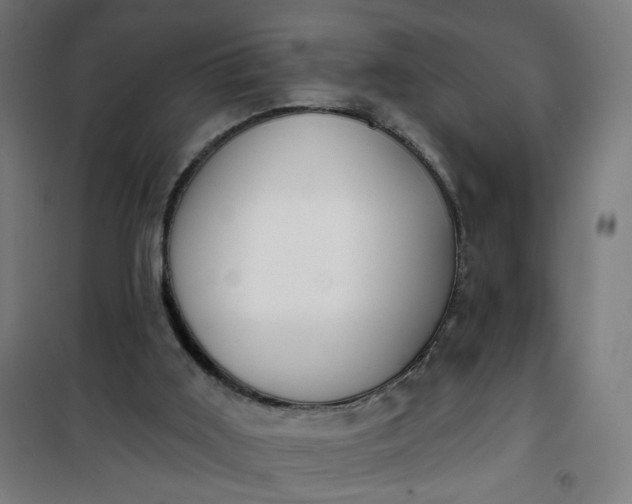 X0000100750011200807031347