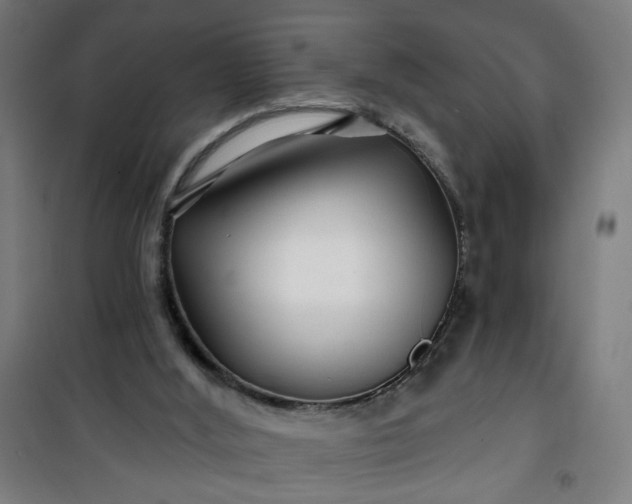 X0000100750012200807031347