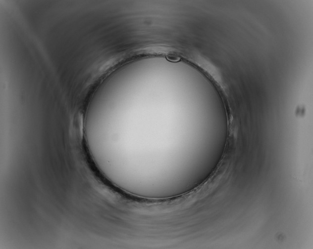 X0000100750013200807031347