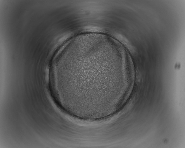 X0000100750014200807031347