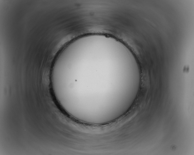 X0000100750015200807031347