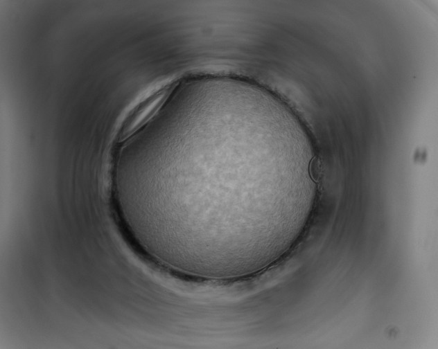 X0000100750016200807031347