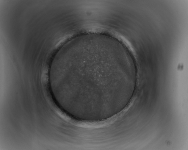 X0000100750017200807031347