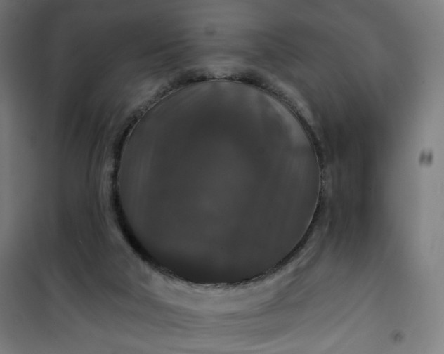 X0000100750018200807031347