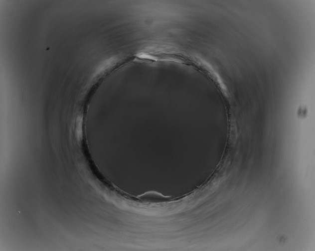 X0000100750019200807031347