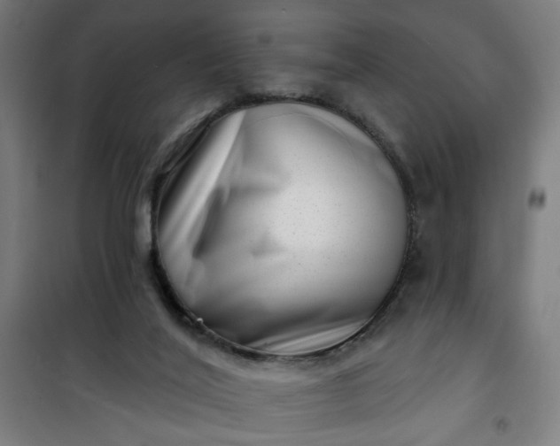 X0000100750020200807031347