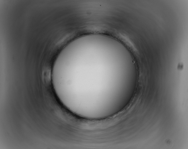 X0000100750021200807031347