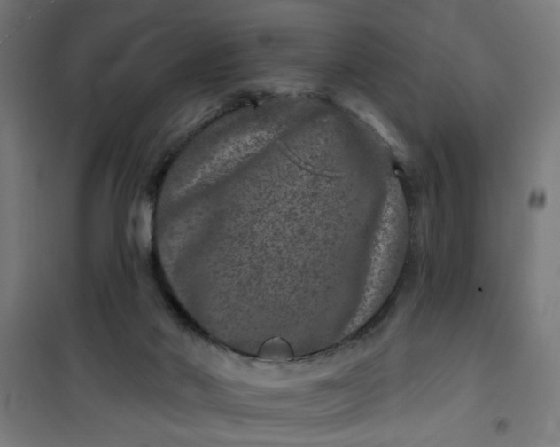 X0000100750022200807031347