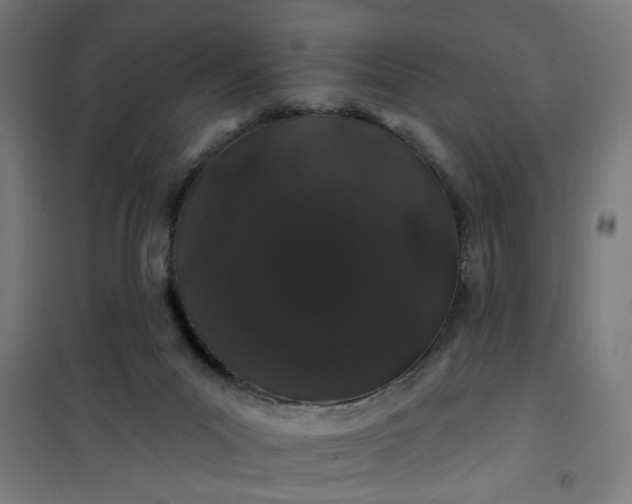 X0000100750023200807031347