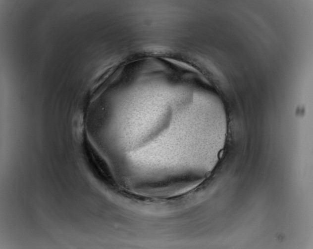 X0000100750024200807031347