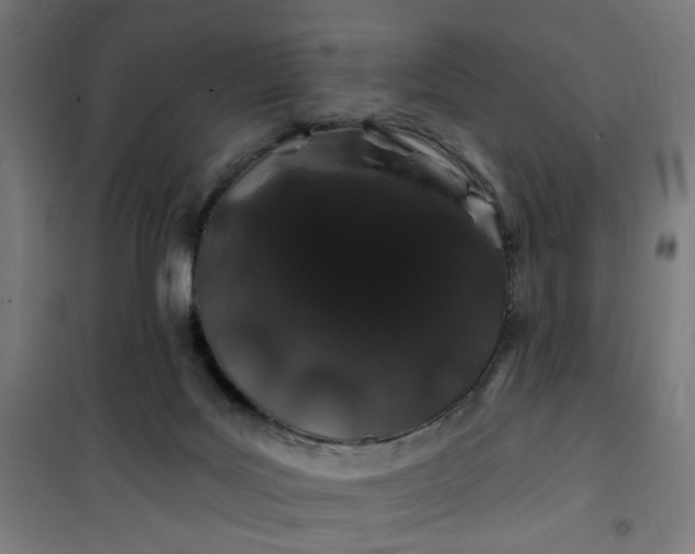 X0000100750027200807031347