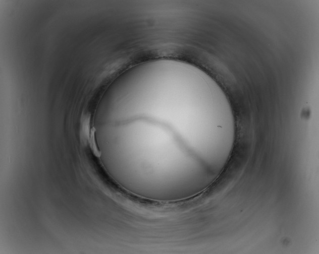 X0000100750028200807031347