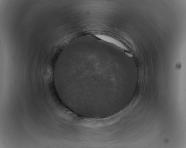 X0000100750029200807031347