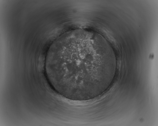 X0000100750030200807031347