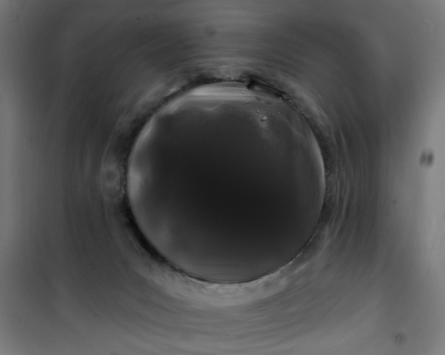 X0000100750031200807031347