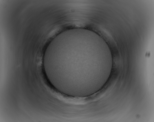 X0000100750032200807031347