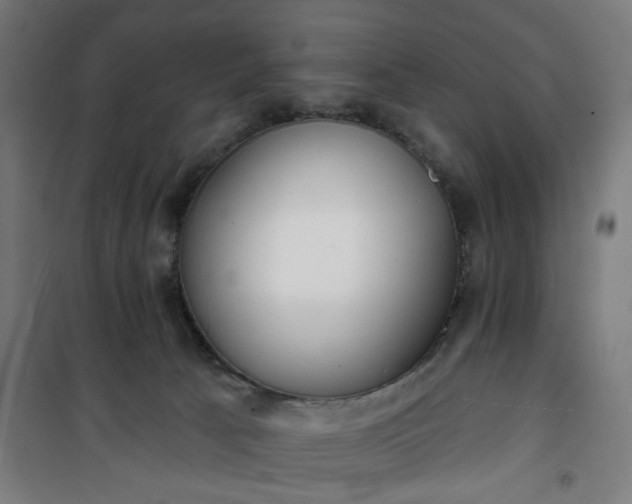 X0000100750033200807031347