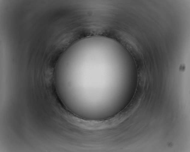 X0000100750034200807031347