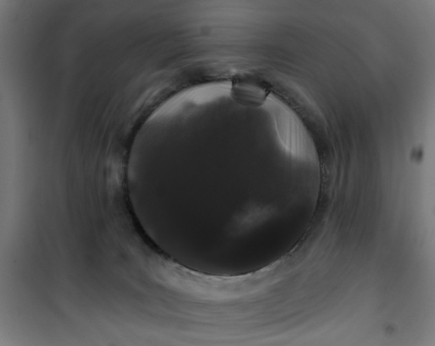 X0000100750035200807031347