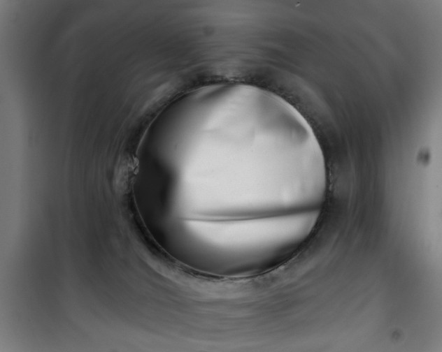 X0000100750036200807031347