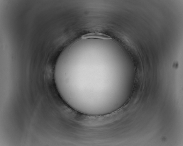 X0000100750037200807031347