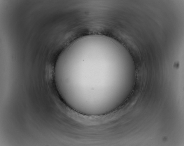 X0000100750038200807031347