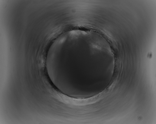 X0000100750039200807031346