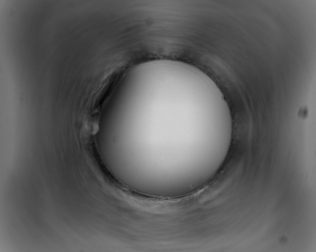 X0000100750040200807031346