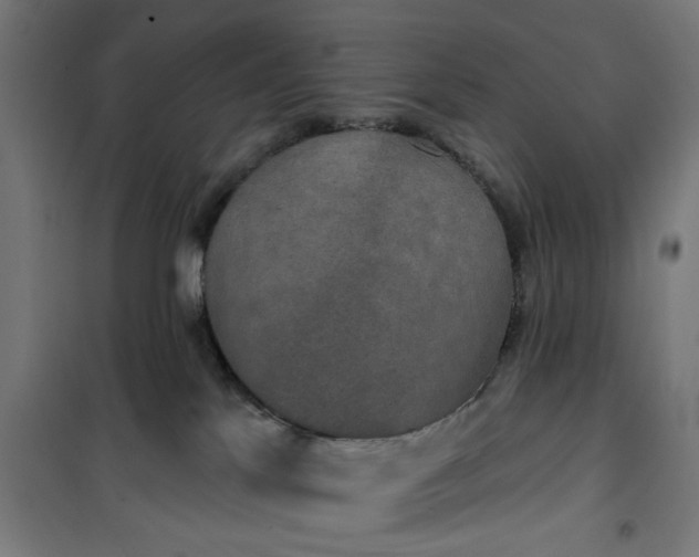 X0000100750041200807031346