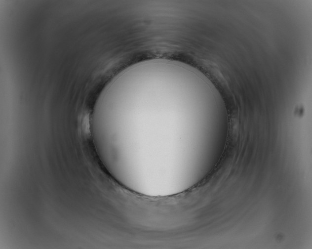 X0000100750042200807031346