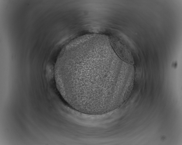 X0000100750043200807031346