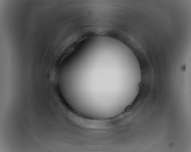 X0000100750044200807031346