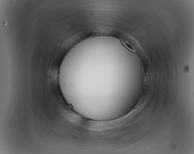 X0000100750045200807031346